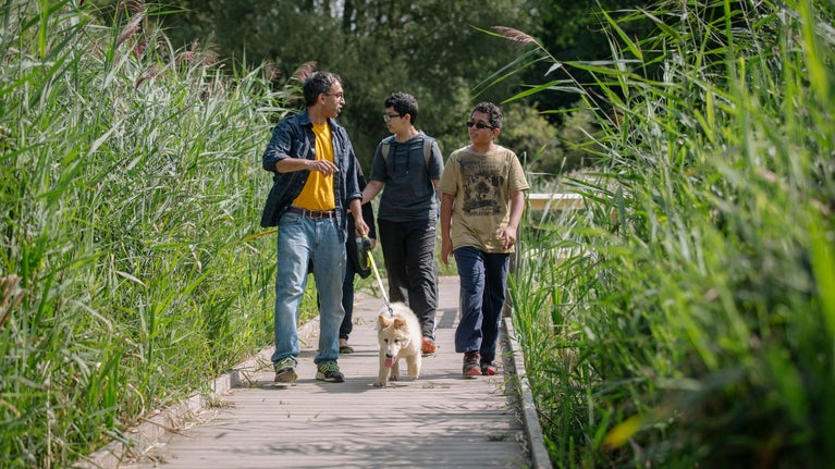 A family and their dog walking along the boardwalk through the wetlands area at Morden Hall Park in London